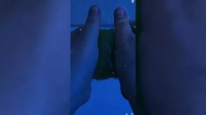 Радужные Блёстки Для Детей