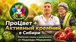 Поговорим о «Применение ПроЦвет и Активного кремния на плодово-ягодных культурах»