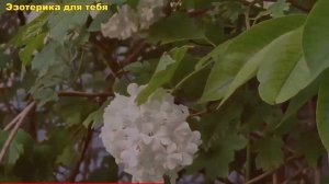 3 июля: нас ждёт нечто ужасное. Что нельзя делать. Приметы.   заговоры на деньги и здоровье