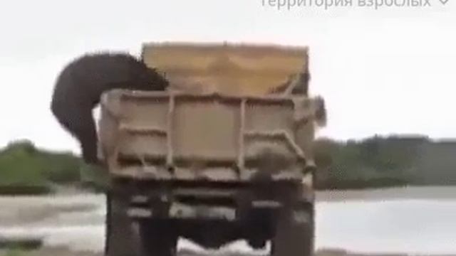 БЫВАЕТ смотреть онлайн