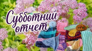 Субботний отчет по моим процессам за неделю.