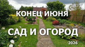 Конец Июня 2026 - сад и огород
