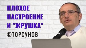 Плохое настроение и «жрушка». Торсунов лекции