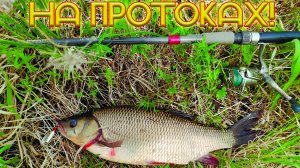 Ловля ЩУКИ и ЯЗЯ на протоках.