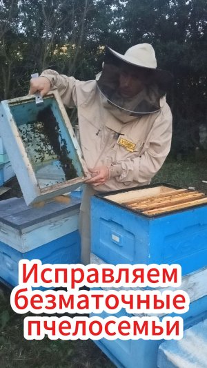 Два простых способа присоединения отводка к безматочной семье.
