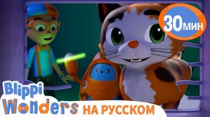 Зачем кошке УСЫ_ _ Обучающие мультики для детей _ Blippi Russian