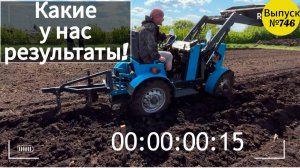 Посадили картошку неправильно — а она всё равно выросла! | Омская деревня