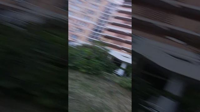 игра в цвета смотреть онлайн