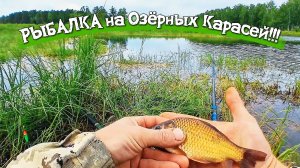 Летняя Рыбалка на ПОПЛАВОК! Клёв ПЕРВЫХ Карасей 2026!
