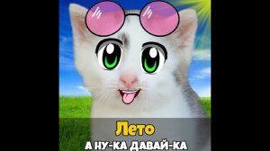 Лето минус