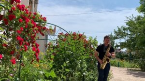 Игорь Тальков - Летний дождь. #Саксофоніст Романенко COVER 🎷 Streetsax