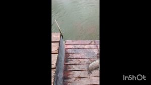 1000157036.mp4