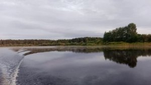 Шексна