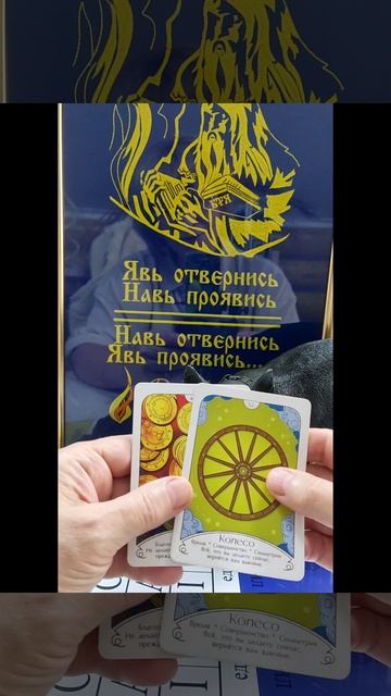 Совет дня🐸 4 июля💖#новинка#финансы#семья#работа# смотреть онлайн