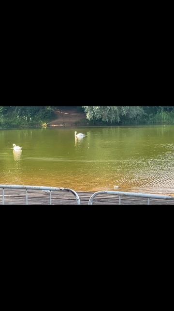 МОЙ ДЕНЬ ❤️ БАССЕЙН 🏊♀️ ГУЛЯЕМ