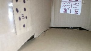 лифты из картона