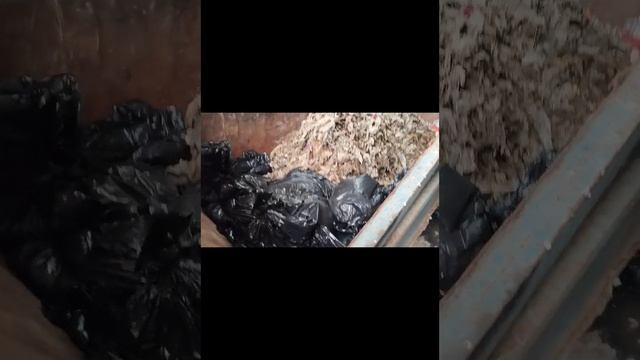 Бытовое равнодушие