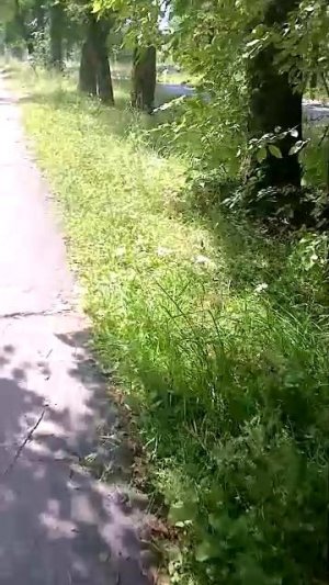 дневной стрим всем привет