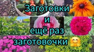 04-07-2026/ Рассольник на зиму/ Вкусный десерт из крыжовника и бананов/ Где муж?🤭/ Жизнь семьи/
