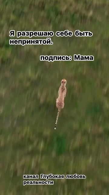Я разрешаю себе быть непринятой.