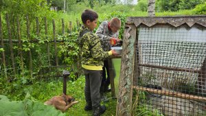 Жаркое утро, летняя гроза и два умельца