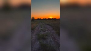 Поле Закат Блёстки Улёт