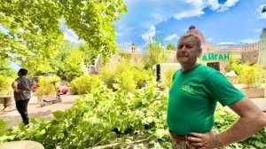 Чем занимается сейчас НЕ КАБИНЕТНЫЙ ДИРЕКТОР Олег Зубков?