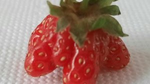 Максимум вкуса, минимум серьёзности.