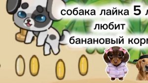 новое интро🩷
