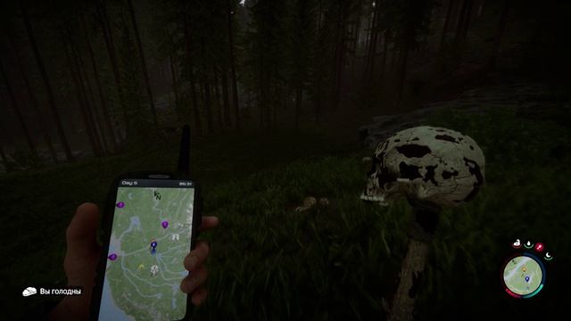 Sons of the Forest
