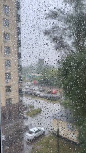 Летний дождь 4