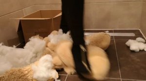 High heel fantasy; make sure Teddy is ready for shipping