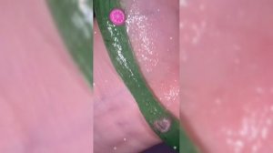 Развивашка Слайм Угадай Фрукт Сверкай Хит