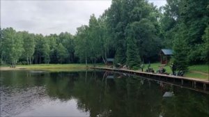Утренний обзор с нижнего водоёма. Клёвое место, Лосиный остров.