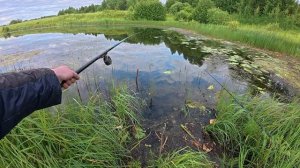 Удачная рыбалка на подкове . Много рыбы.