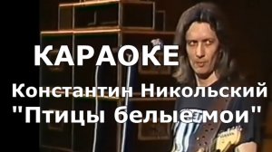 Птицы белые мои Караоке Константин Никольский Воскресение