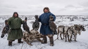 Волк, медведь, песец: секреты охоты народов Ямала и Таймыра