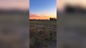 Поле Закат Блеск Для Детей