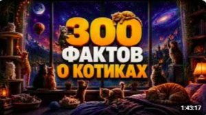 ПЕРЕД СНОМ 😴 300 УЮТНЫХ ФАКТОВ О КОТИКАХ _ Это точно поможет тебе уснуть