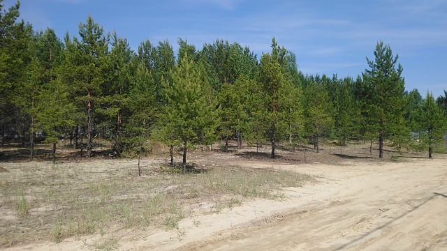 MOV_0005 смотреть онлайн