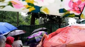 Погода в Москве: ливневые дожди
