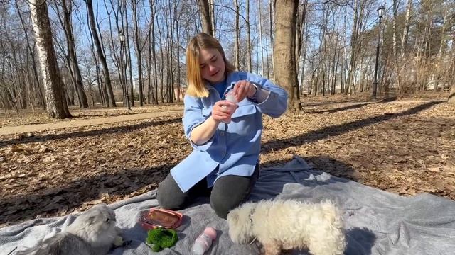 КАРТУН КЭТ В РЕАЛЬНОЙ ЖИЗНИ | 24 ЧАСА В ЛЕСУ С КОТОМ И СОБАКОЙ