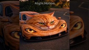 Мой эдит в алайт моушен