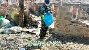 Покинув город, супруги вернулись в родной город, чтобы отремонтировать старый загородный дом.
