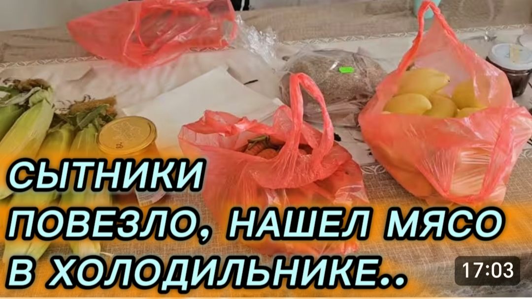 САМВЕЛ АДАМЯН, СЫТНИКИ,, ПОВЕЗЛО, НАШЕЛ МЯСО В ХОЛОДИЛЬНИКЕ.. смотреть онлайн