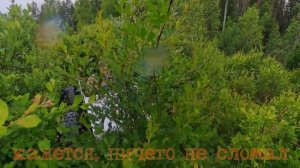 Испытания продолжаются