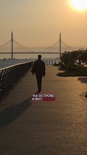 ЧТО СКРЫВАЛ Зверев на Петровском острове?