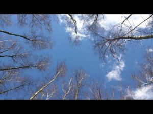 Плывущие облака и грустный звук (гул) летящего в небе самолета