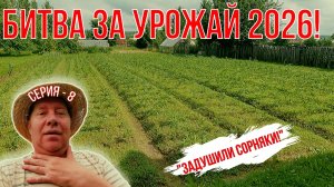 Сорняки почти задушили. Всего по не многу, а вечером и спина не разгибалась... Битва за Урожай 2026.