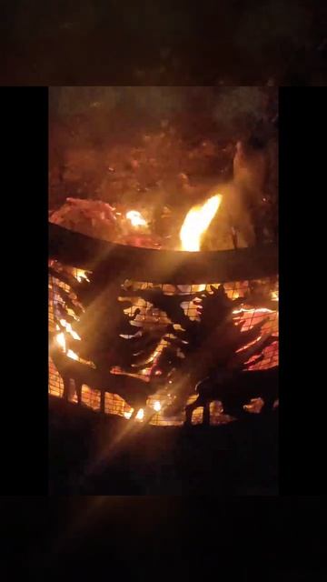 Авторская медитация "Тайга"#просто#действенно#бессознательное#энергия#сила смотреть онлайн